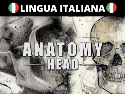 Anatomia artistica: la Testa (Video + eBook)