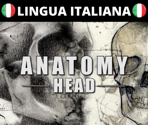 Anatomia artistica: la Testa (Video + eBook)